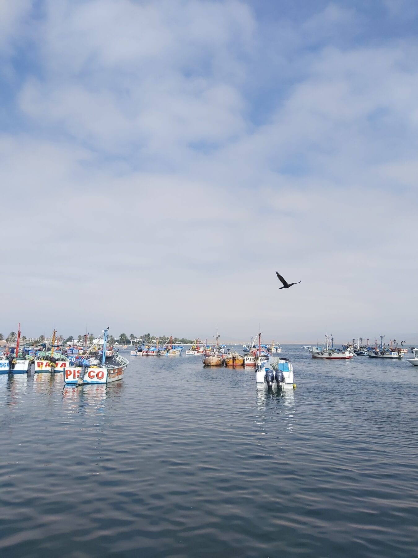 Baai in Paracas