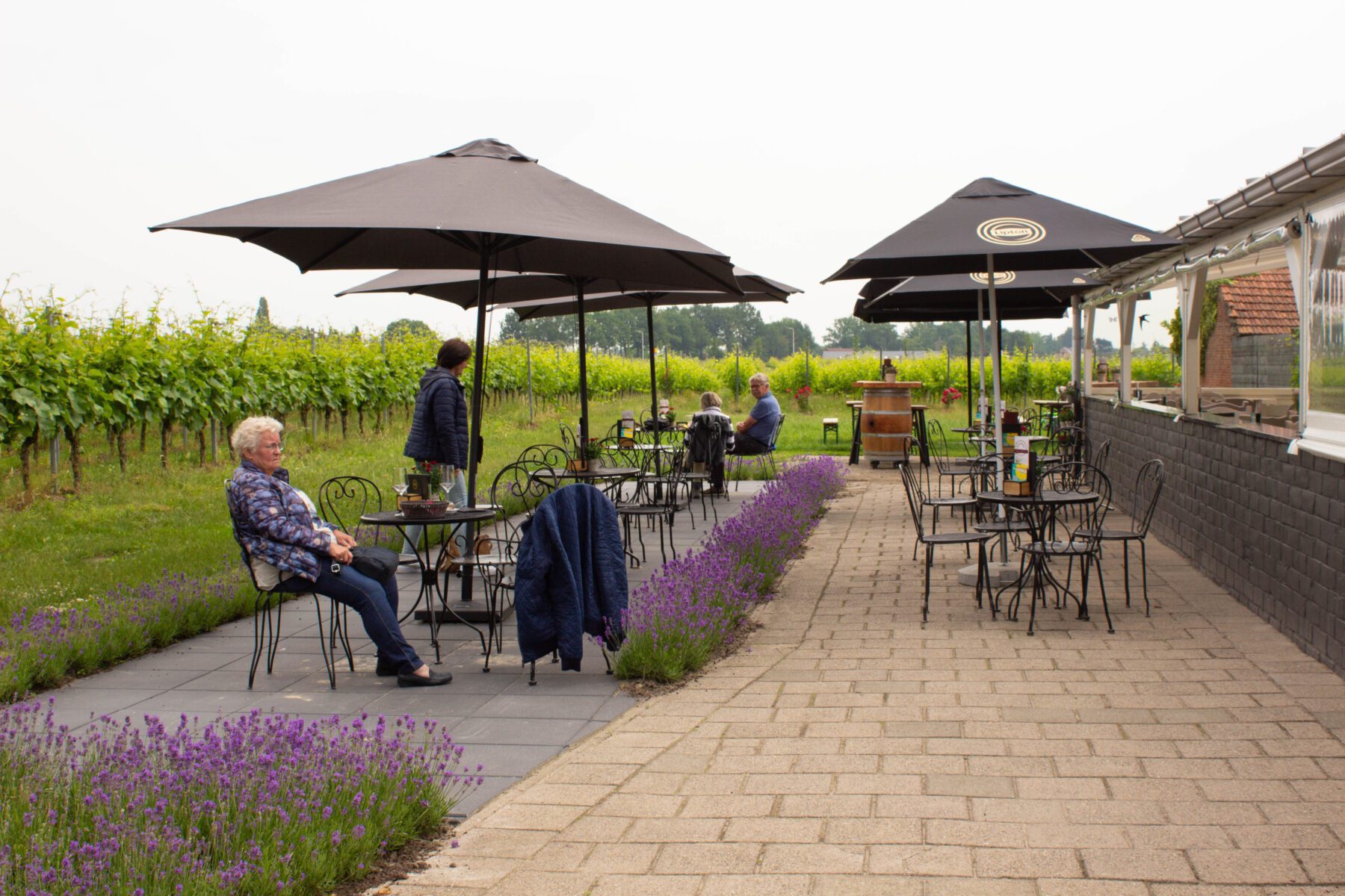 Terras Hof van Baarle