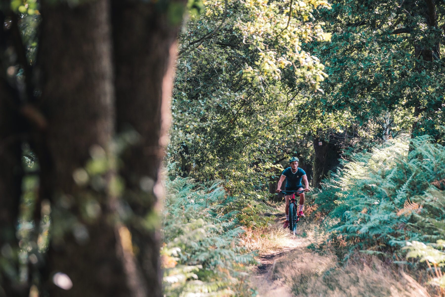 mtb ardennen