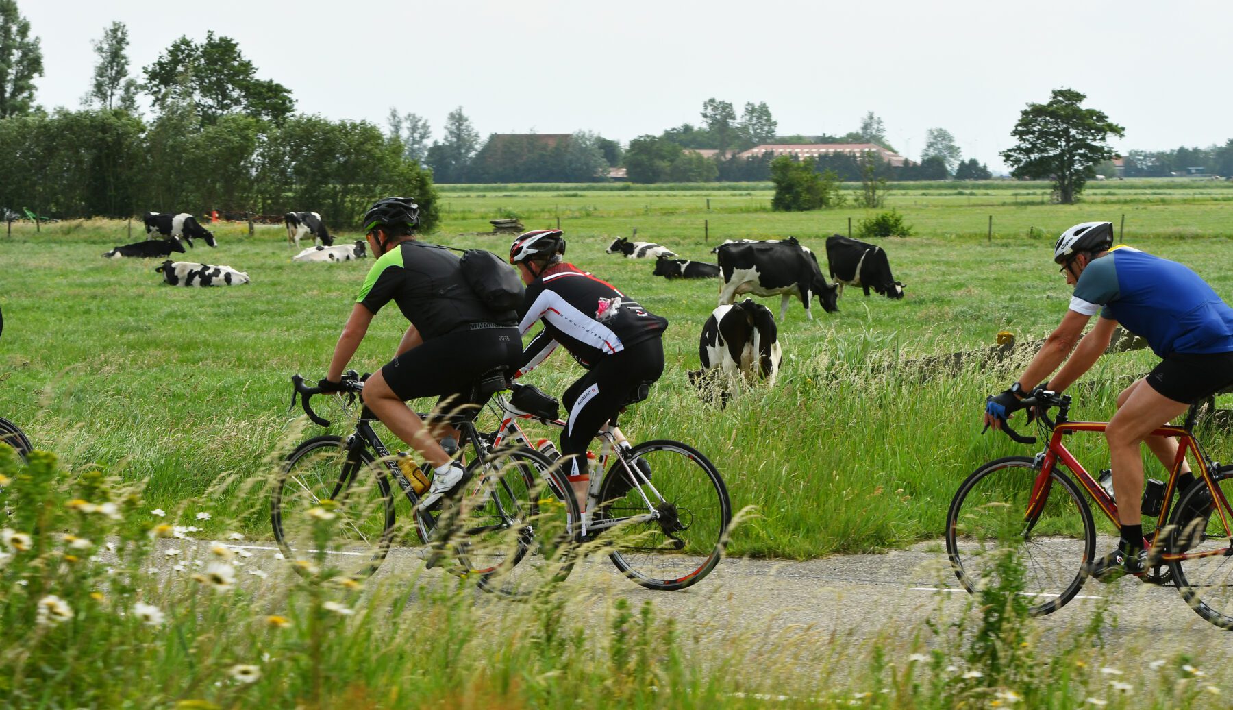 Fietselfstedentocht