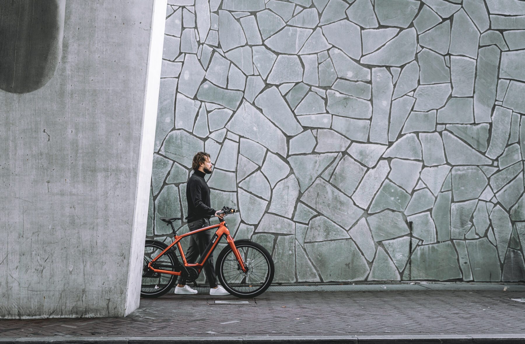 Welke elektrische fiets