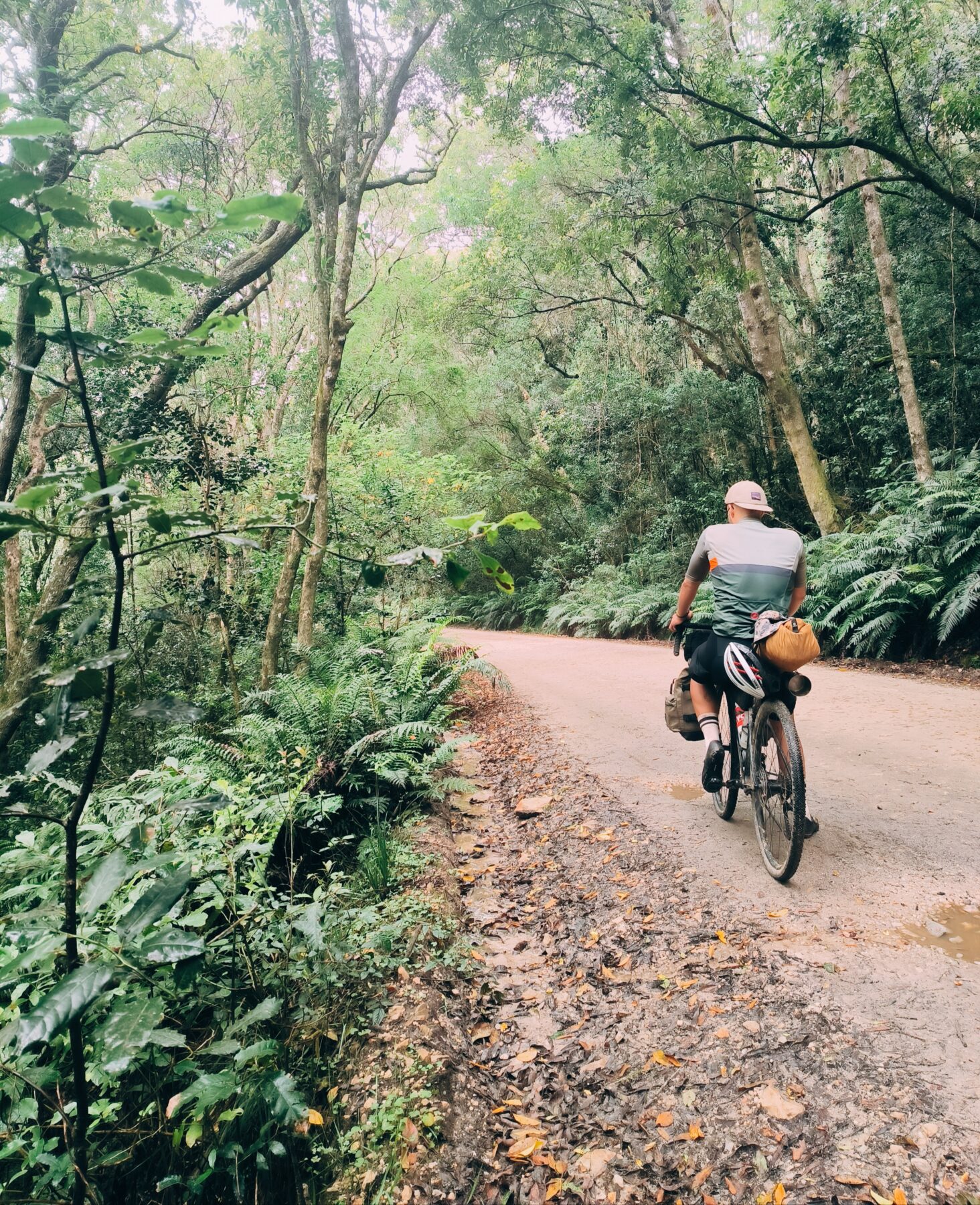 Bikepacken door de jungle van Zuid Afrika