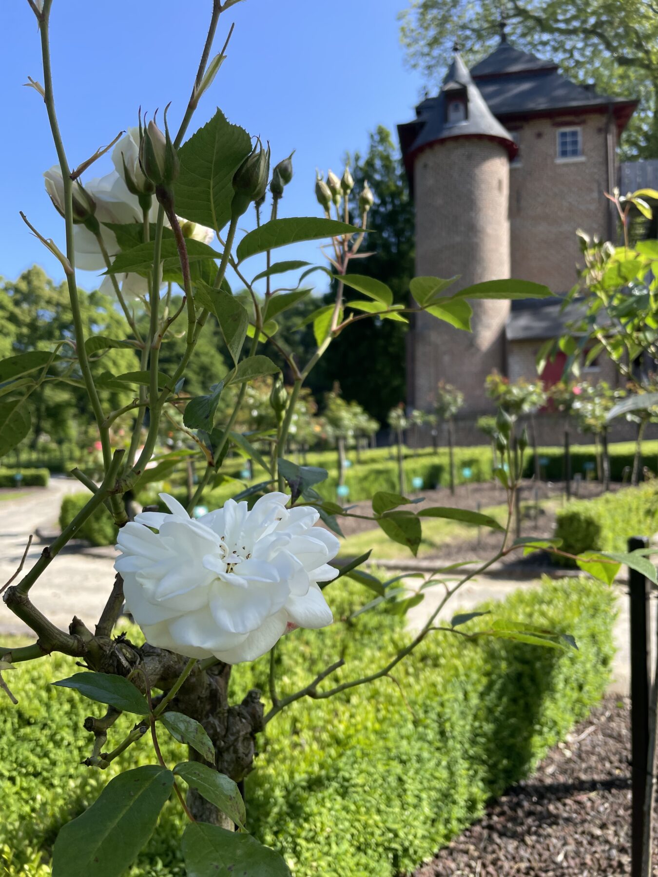 Fleurige kasteeltuinen Bruegelroute