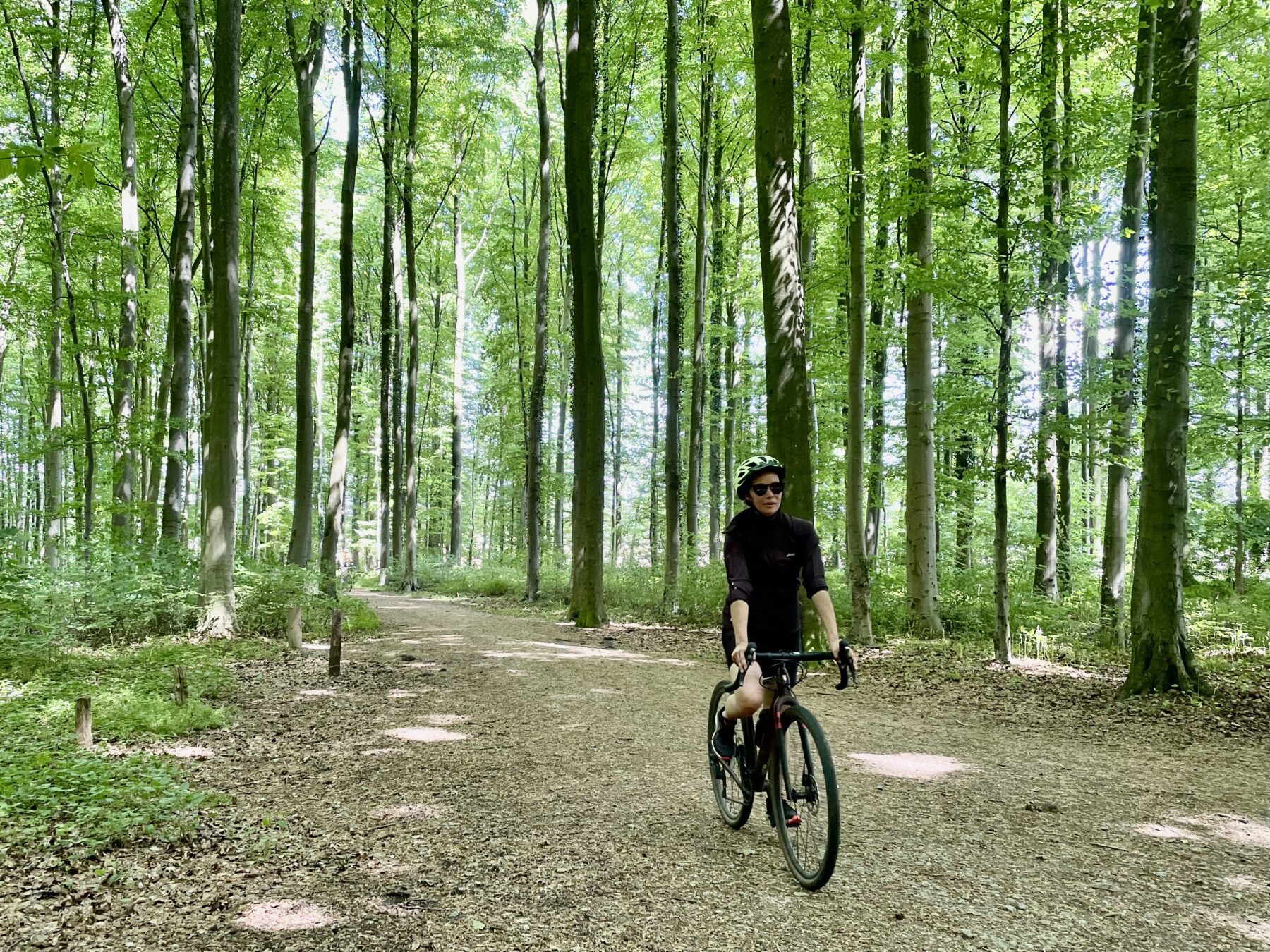 Geuze Gravelroute Hallerbos