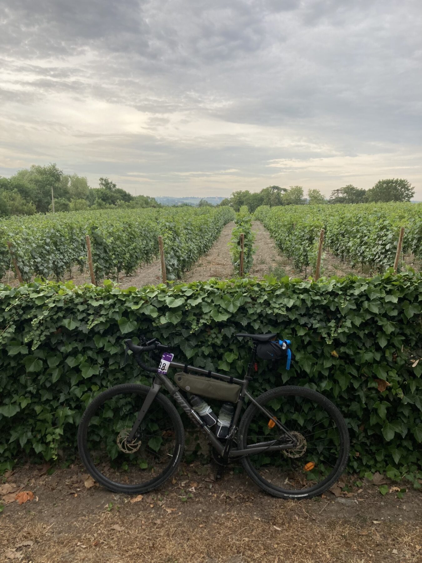 Nature is bike wijngaarden