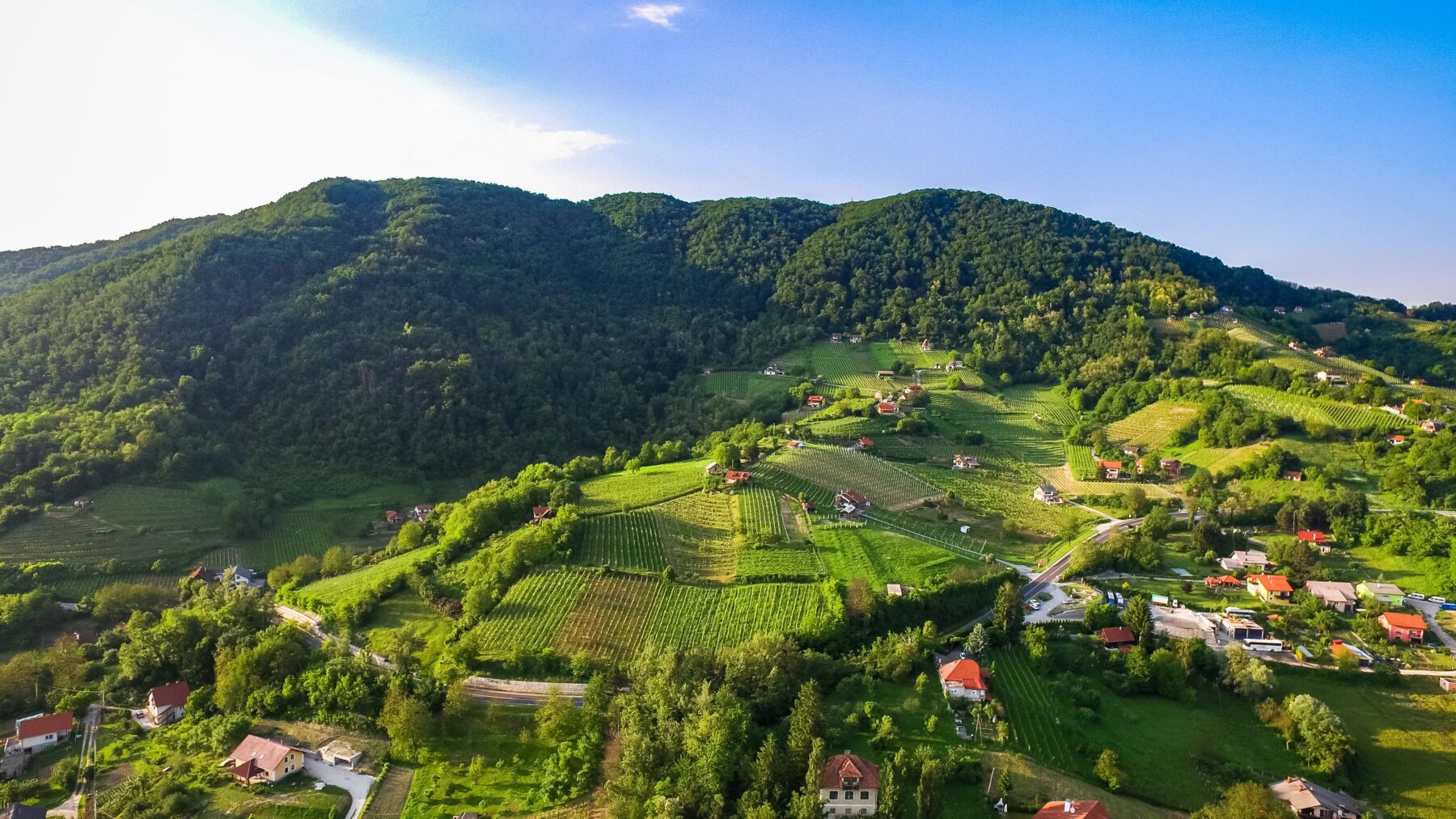 Wijngaarden in Zagorje