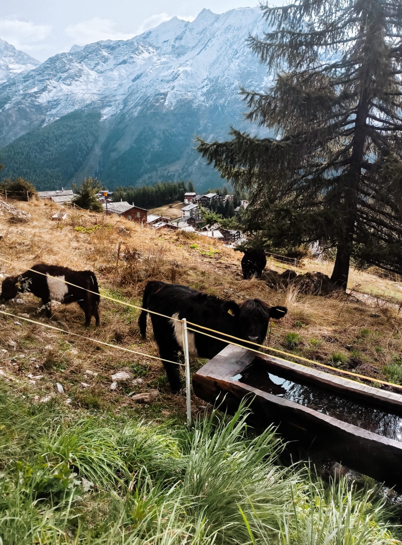 Klein in het dal bij Saas-Fee 