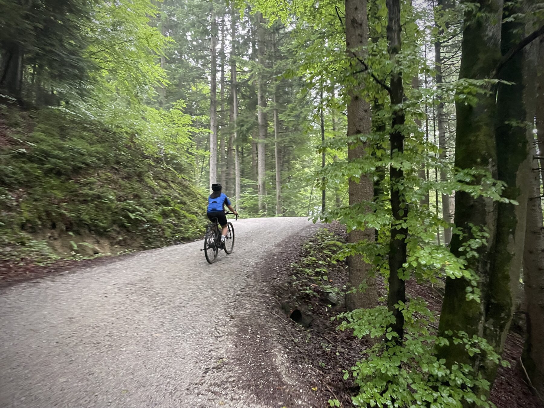 Klimmen met gravelbike in Innbruck