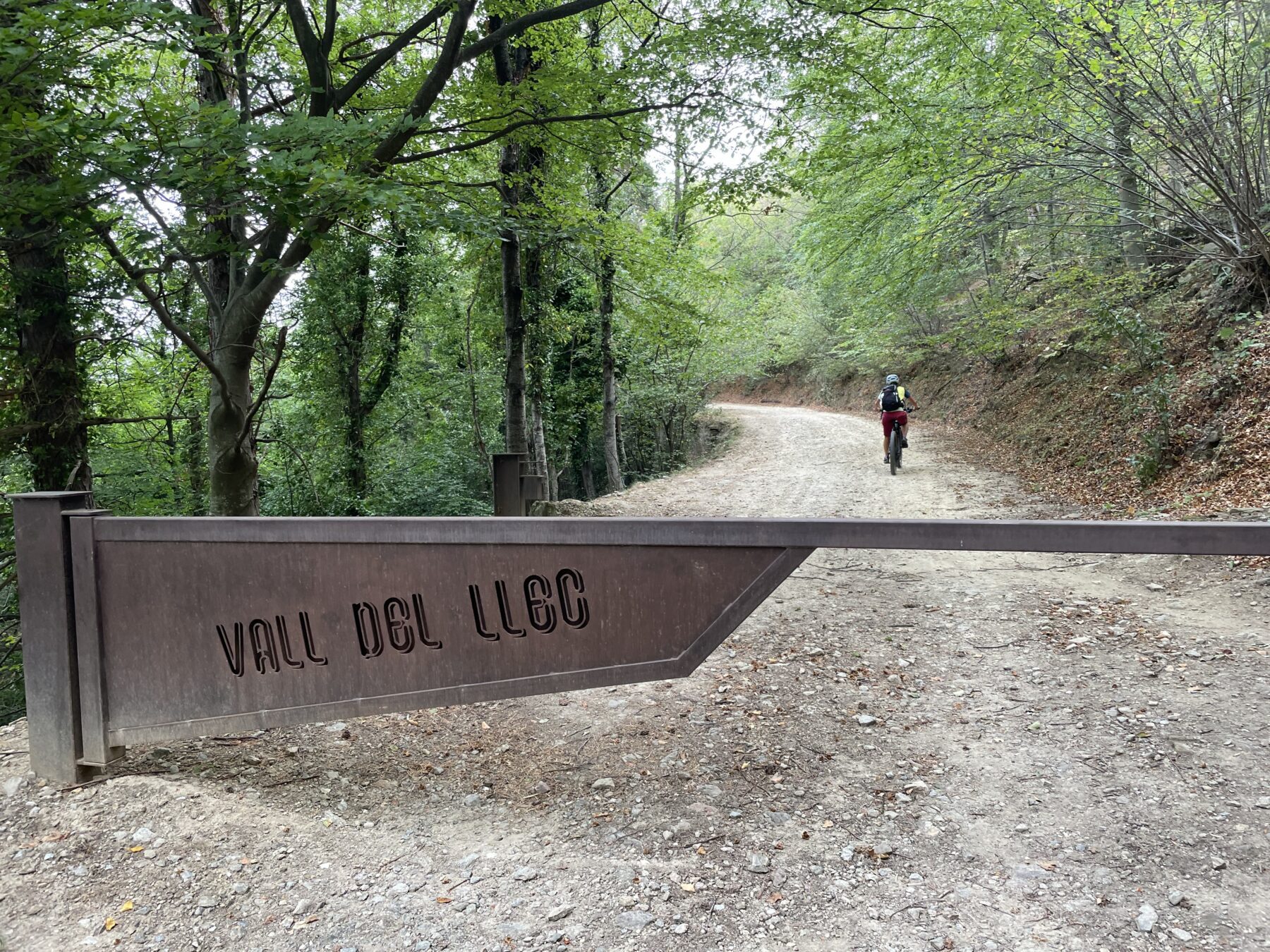 Door bossen naar de Canigou fietsen