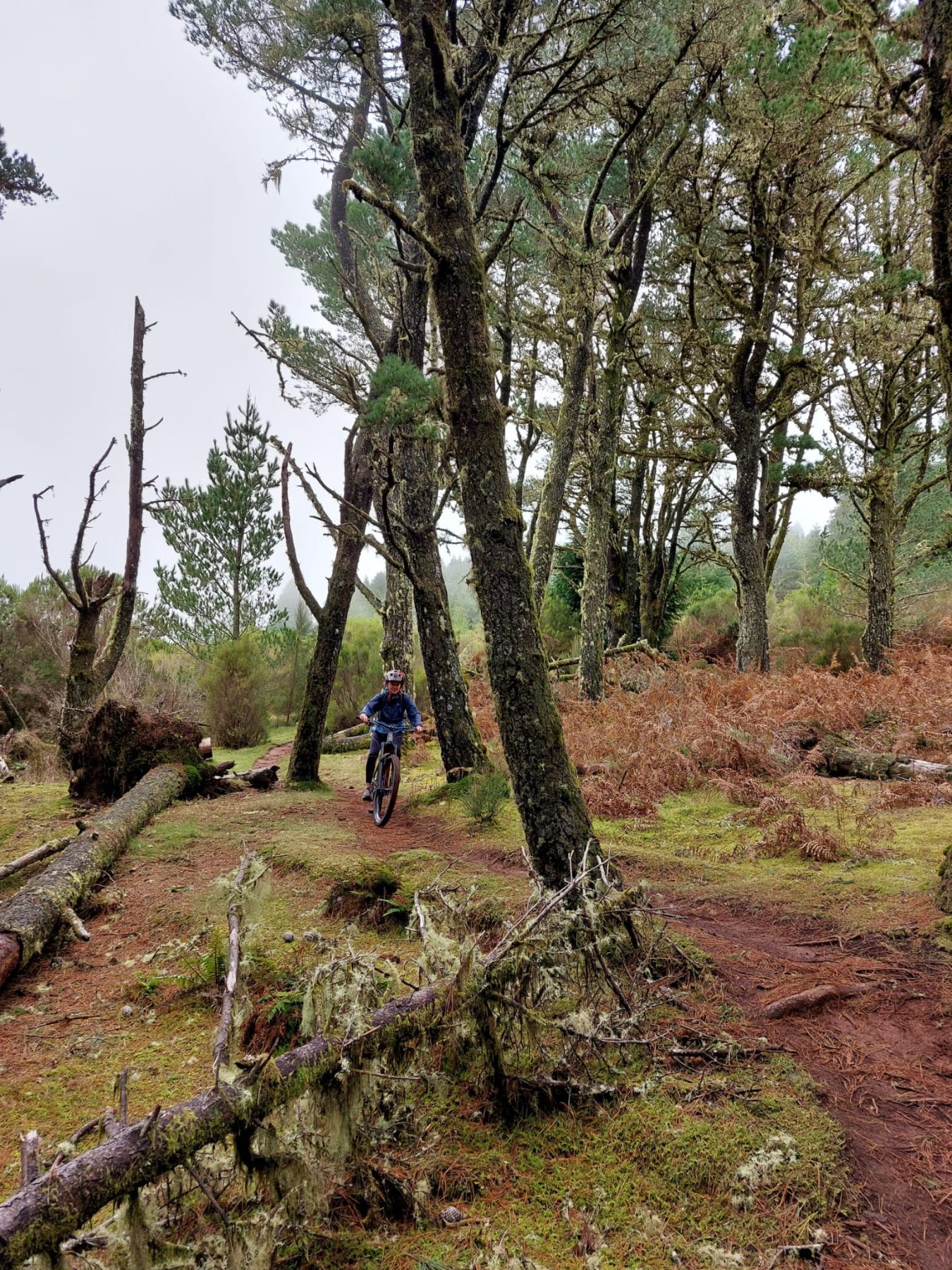 Mountainbiken op Madeira ziet er zo uit