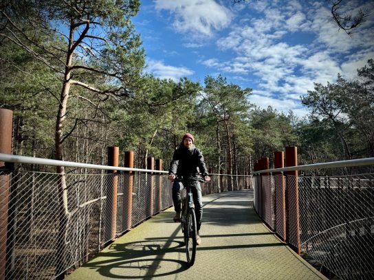 Fietsen door boomtoppen Roompot Eksel