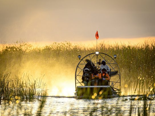 De Everglades, een bijzonder natuurgebied in de VS.