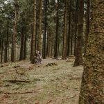 Fietsen over La Condruzienne