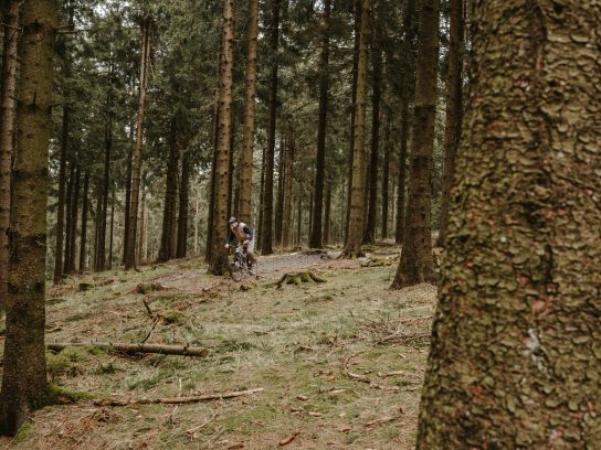 Fietsen over La Condruzienne