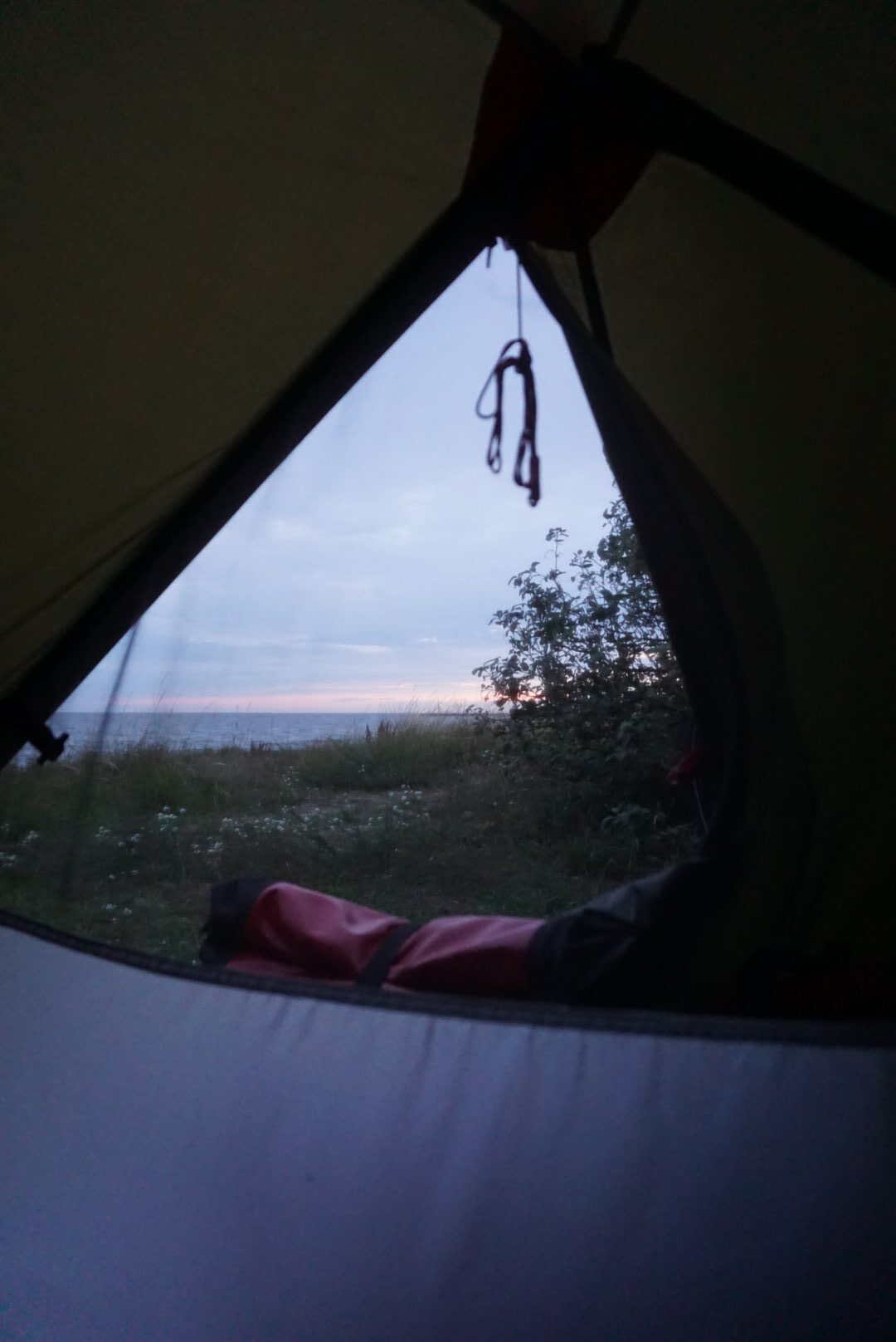 Sammy bikepacken Stockholm Rotterdam tent