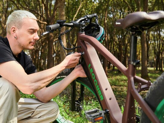 vergeet niet de accu van je fiets te beveiligen